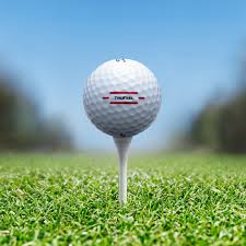 But how does it all fit together? Titleist Trufeel Shop Titleist Trufeel Golf Balls