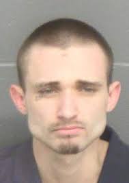 Man pleads guilty to theft, receives six-year prison sentence