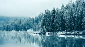 download kootenay river snowfall tree nature winter wallpaper 3840x2160 4k uhd 16 9 widescreen download kootenay river snowfall tree