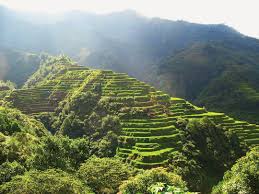 Sawah Terasering Kuno Yang Terkenal Indo Pacific Defense Forum