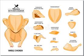 A whole roasted chicken is the perfect way to showcase the contrasting flavors and textures from all the different parts of the bird, from the pope's nose at the tail to the wings and thighs and on to the oysters between the back and the leg. Chicken Diagram Stock Illustrations 1 089 Chicken Diagram Stock Illustrations Vectors Clipart Dreamstime