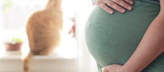 Schwanger Fliegen Bis Wann Und Wie Lange Pampers