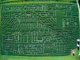 We did not find results for: Jonamac Orchard And Corn Maze Enjoy Illinois