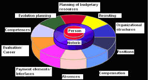 Human resources uses a variety of information management systems to serve employees at nova. Pdf Oracle Hrms For The Human Resources Management In The Public Sector Semantic Scholar