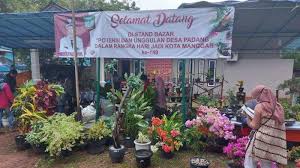 We did not find results for: Desa Padang Manggar Akan Kembangkan Tanaman Hias Jadi Potensi Unggulan Wisata Pos Belitung
