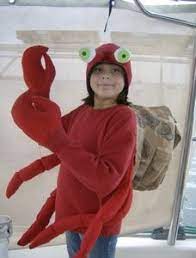 How To Make A Hermit Crab Costume Crab Costume Little Mermaid Costumes Diy Costumes Kids