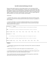 Worksheet Determination Of Protein Amino Acids Kids Activities