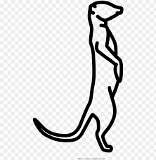 Check out our nice collection of the animals coloring pictures worksheets.new animals coloring pages added all the time. Meerkat Coloring Page Figure Drawi Png Image With Transparent Background Toppng