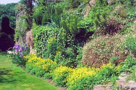 Si la terre est lourde et argileuse, l'alléger en apportant du gravier fin et du terreau. Amenager Un Talus Comment Et Quoi Planter 3 Etapes Detente Jardin