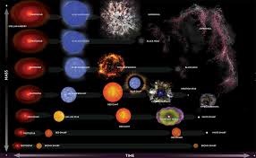 Stellar Evolution Phases