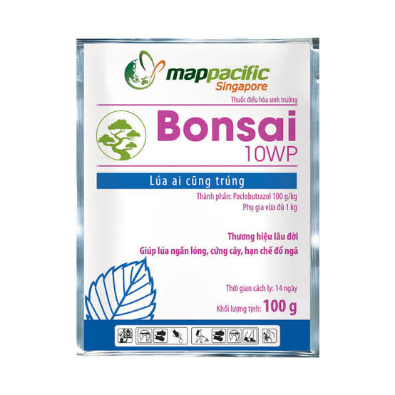 Bonsai 10WP