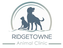 The kennel cough vaccine must be in your dog's system at least 10 days before boarding if your dog is due or has never had the kennel cough vaccine. Top Rated Local Veterinarians Ridgetowne Animal Clinic P A