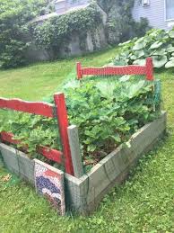 How to protect my passion fruit vine from birds? Gardening In Raised Beds