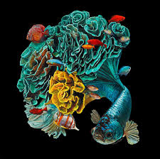 Hyper Realistic Fish Paintings By Lisa Ericson Inspiration Grid Design Inspiration Fish Painting Fish Drawings Fish Art