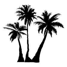 Palm Tree Silhouette Svg Png Free Palm Tree Silhouette Svg Png Transparent Images 63968 Pngio