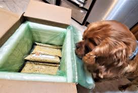 Like other dog food delivery services, ordering from the farmer's dog is relatively simple. Unbiased The Farmer S Dog Food Review 2021 We Re All About Pets