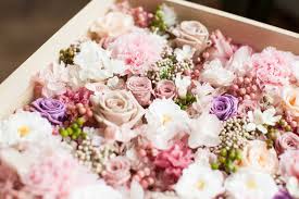 We did not find results for: Preserving Flowers Vhouse Meet