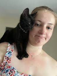 Celebrating adopted cat's one year anniversary