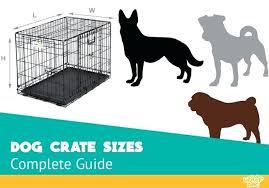 Dog Kennel Sizes Instantprofits