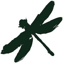 Coheed Dragon Fly Via Bodyelectricsin Dragonfly Tattoo Coheed And Cambria Fly Drawing