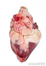 In addition, we will skeletal muscle injury and inflammation in heart failure. What Are The Different Types Of Heart Muscle Disease