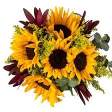 Maybe you would like to learn more about one of these? Mixed Farm Bunch Subtle Elegance 8 Bunches Sam S Club Sunflower Bouquets Bulk Wedding Flowers Flower Care