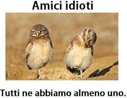 * non credo di essere la persona più importante della tua vita ma sono certa di averti trasmesso l'importanza che tu hai nella mia. Immagini Divertenti Immaginiamo Org