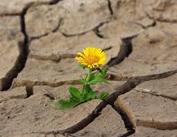 Además, algunos ejemplos y sinónimos de esta capacidad. Significado De Resiliencia Y Como Puedes Fomentarla Recursos De Autoayuda