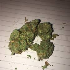 Black Mamba Marijuana Strain Information Leafly