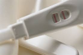 How Do You Read A Pregnancy Test With Two Windows Pregnancy Test Kit