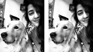 Maybe you would like to learn more about one of these? Anushka Shetty Instagram Picuki Anushkashettyathitprereleaseevent Instagram Posts Photos And Videos Picuki Com Anushka Shetty Date Of Birth 7 November 1981 In Mangalore Karnataka Lizzerdbabychallenge