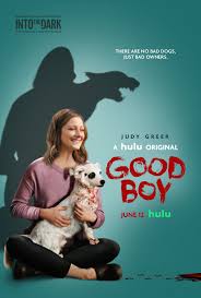 There are lots of recommendations and tools for netflix out there but hulu also has a ton of horror movies. Into The Dark Good Boy Tv Episode 2020 Imdb