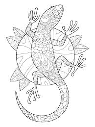 Free leopard gecko coloring pages printable coloring sheet 224520. Gecko Coloring Pages Best Coloring Pages For Kids