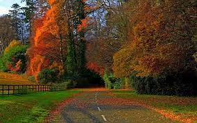 Cool Full Screen 1080p Nature Desktop Wallpaper Hd Pictures The code looks like this.