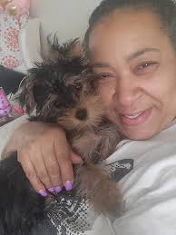 This is my new baby. His name is Harley. ❤️