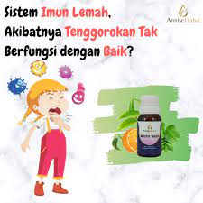 Pin Di Annise Herbal