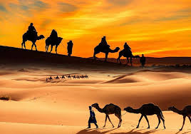 An evening desert safari deals include 4x4 drive, camel ride, tea, coffee, belly dance, henna painting. 1001 Overnight Desert Safari In Dubai Desert Camping Dinner With Shows