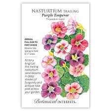 Image result for Nasturtium