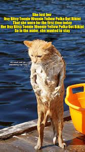 Itsy Bitsy Teenie Weenie Yellow Polka Dot Bikini Funny Cats Cat Quotes Funny Funny Cat Pictures