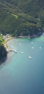 We can investigate the cause but you have to arrange for pest control on your property. Prevent Pests From Spreading