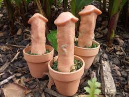 Potted Dickweed Penis Plant Individual Mushroom Sculpture Mature Listing -  Etsy