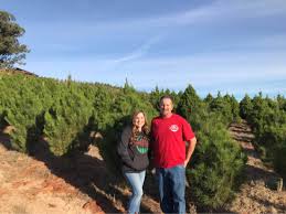 Our montgomery md christmas tree farms offer an excellent assortment of trees for you to choose from. The Art And Science Of Growing Christmas Trees Benitolink