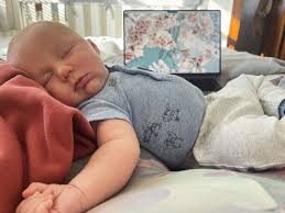 White Shutter Media, LLC