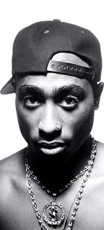 Robert Avalos (robertavalos13818)