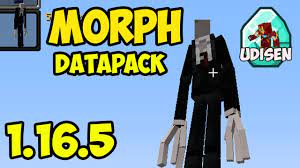Most of you have returned an error i have updated it to 1.16.5 please send me your experience in the comments. Morph Mod 1 16 5 Minecraft How To Download Install Morph Mod 1 16 5 Datapack On Windows Youtube