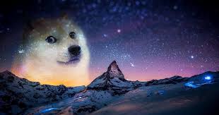 We did not find results for: 1080p Hd Doge Wallpaper 1920x1080 Is A High Quality Quality Wallpaper You Can Get It Now On This Site Get Doge Wallpaper 1920 Doge Meme Doge Top Hd Wallpapers