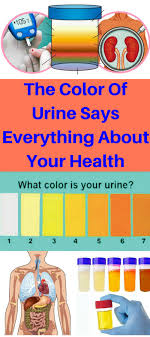 The Color Of Urine Says Everything About Your Health All What You Need Is Here Color Of Urine Health Health Routine