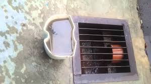 Check spelling or type a new query. Dengan Rm80 Saja Kusyen Kereta Anda Jadi Seperti Baru Mynewshub