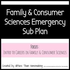 Family Consumer Sciences Emergency Sub Plan Intro To Careers Family And Consumer Science Emergency Sub Plans How To Plan