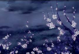 Nov 27, 2019 · about animated wallpaper. Cherry Blossoms Flowers Nature Background Wallpapers On Desktop Nexus Image 1335526